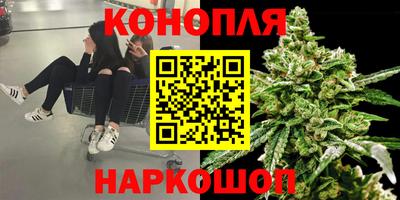спиды Лесосибирск