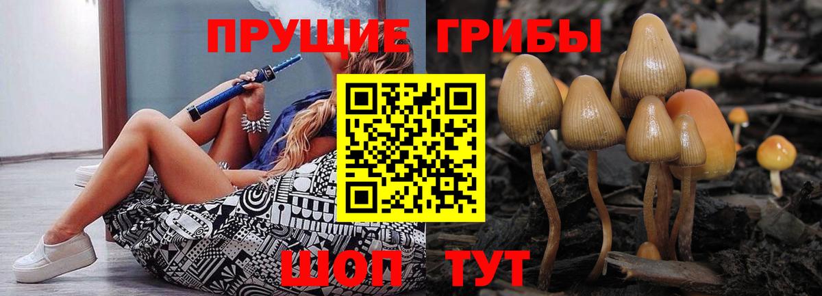 Спасск-Дальний  Галлюциногенные грибы GOLDEN TEACHER  Галлюциногенные грибы Magic Shrooms  Вход с VPN 