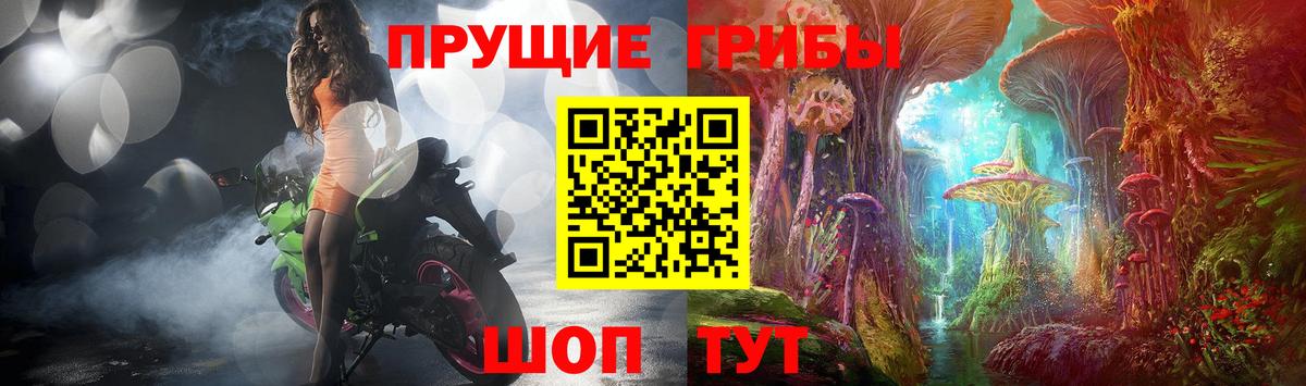 Галлюциногенные грибы Psilocybe Спасск-Дальний